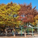 충북 단양 부산방향 "단양팔경휴계소 테마공원"가을 이미지