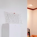 3공단3로3L-24 | 가정용 음식물처리기 추천 가성비 좋은 다룸 건조분쇄기 3L 4개월 사용 후기