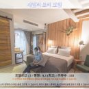 월드넷 | 끄라비 여행 추천 호텔 후기: 패밀리 트리 호텔, 가족여행의 천국?