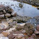 위미1리경로당 이미지