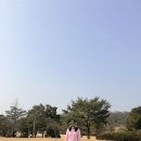 담양레이나CC | ⛳️담양 레이나CC 국내 라운딩 리뷰 후기｜초보 골퍼가 느낀 코스 난이도와 그린피 정보