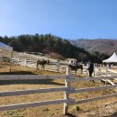 정당목장 이미지