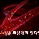 정상 혈당으로 돌아갈 마지막 기회를 잡아라! 이미지