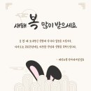 세인트벨 인터내셔날 이미지