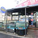 사랑회수산 - 유성구 진잠로66번길 42 | 사랑회수산