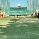 일광 매직 골프 연습장 이미지