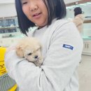 예예