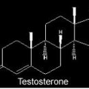 스테로이드목록 Testosterone Enanthate 이미지