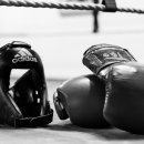 부산복싱클럽 이미지