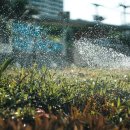 태양2농장 이미지