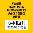 매향민박 네이버블로그