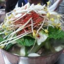 청산오리 이미지