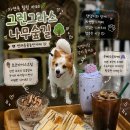 그린그라스스무숲길점 | 강원도 춘천 실내 애견동반 카페 그린그라스 스무숲길