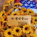 안용 | 천안 용한 신점 천신당일선 만신 뵙고 왔어요.