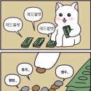 꼬마장사꾼 | [송파구/잠실] 노티드도넛_레드벨벳X노티드 콜라보 예약 및 굿즈 구매 후기