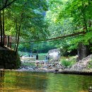 통고산자연휴양림 이미지