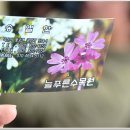 동부꽃농원 이미지