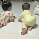 동부수도사업소 | [후기] 대전 다자녀가정 수도요금 감면 신청 총정리 (2자녀부터 혜택 가능! ⭐️)