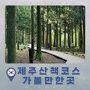 사려니하우스 | 제주산책코스 추천 | 절물자연휴양림에서 힐링 사려니숲길 근처 가볼만한곳