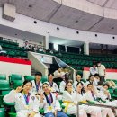 한국체대 태권도 잠실 체육관 | 성북구 성인•외국인 태권도 | 서울시 한마음 생활체육대회 | 잠실학생체육관