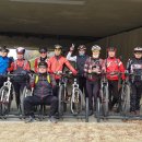 앞산공원 이미지