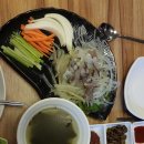 착칸오징어