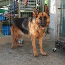 광산구-119 이미지