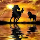 환상의노을 이미지