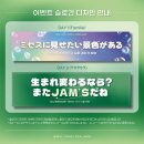 용무체육관 | 미세스 그린 애플 내한 막콘 후기 셋리 아쉬운점