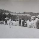 도안초등학교 이미지