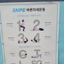 수카센타 | 건강하고 싶다면 수카건강플러스센터에서 SNPE를!(내돈내산 1년 후기, 소개 위주)