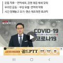 용인대탑(TOP)복싱 이미지