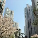 (주)부동산중개법인 오케이 이미지