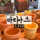 마티아스 | 이천예스파크 토분 추천 마티아스 토분 내돈내산 후기