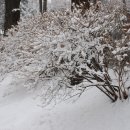 광진구청 이미지