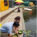 동방낚시터 이미지