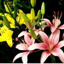 김양식농장 이미지