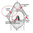 신세계요양병원 이미지