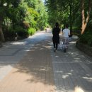 상희공원길 네이버블로그
