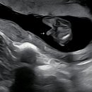 (주)더지엔 이미지