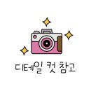 다옴 애견동반 펜션 이미지