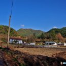 영남분회경로식당 | 충북 괴산 연어봉-할미봉-신선봉(967m)-마패봉을 이어걷는 짜릿한 암릉산행(2025.11.1)