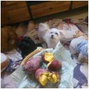 엄마 잘 다녀와 이미지