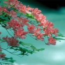 성화2농장 이미지