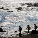 바다그리고길 이미지