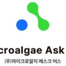마이크로알지에스크어스 이미지