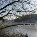 광교호수로 이미지