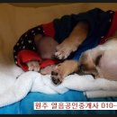 행구현대공인중개사사무소 이미지