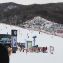 안경바라기 이미지