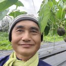 황금행정사사무소 이미지